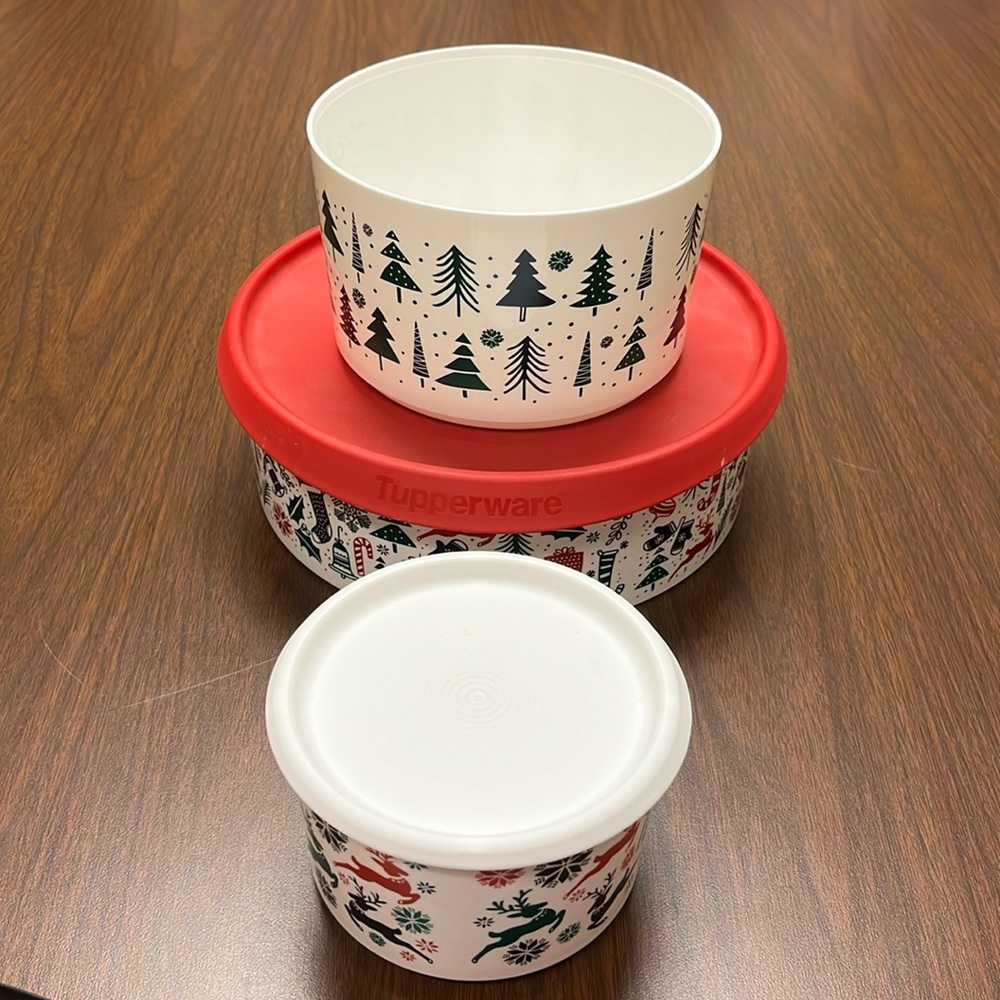 Tupperware holiday containers‎